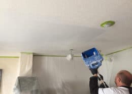 ceiling painting edmonton