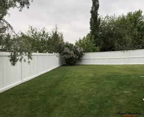 Fence Painting Edmonton - After