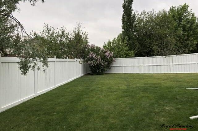 Fence Painting Edmonton - After