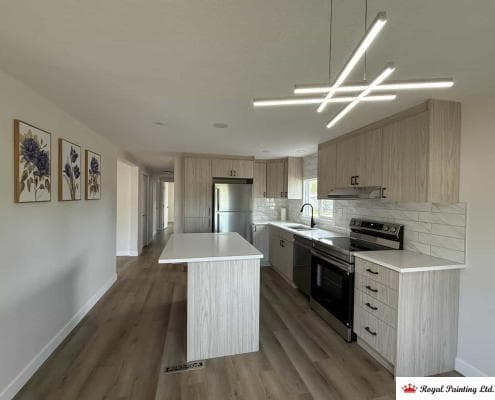 kitchen painting in sherwood park
